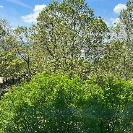 アパート Little Americas Ashbury San Francisco